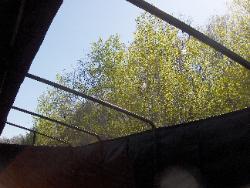 Inside waterfowl opening view.