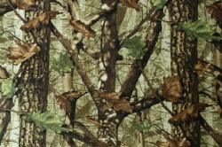 DSI Camo