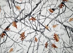 Snow Fall
