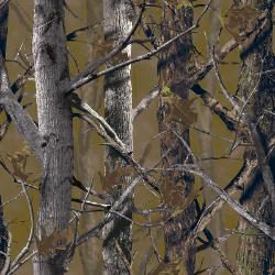 XD3 Camo