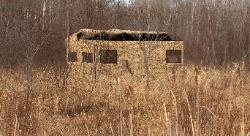 Cowboy Camo Trailer out in the in the cattails with a waterfowl opening.